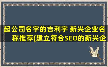 起公司名字的吉利字 新兴企业名称推荐(建立符合SEO的新兴企业名称推荐 - 以吉利字为灵感的公司名字)